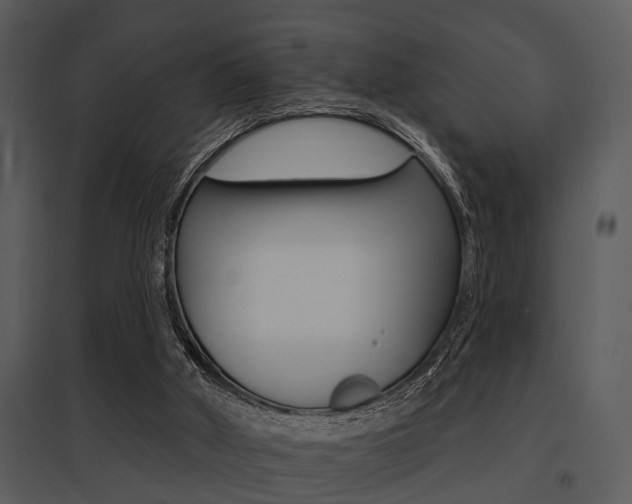 X0000095670010200801081050