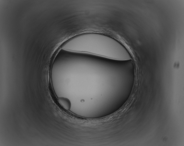X0000095670011200801081050