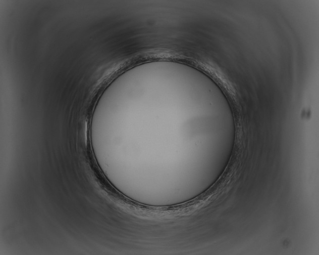 X0000095670014200801081050