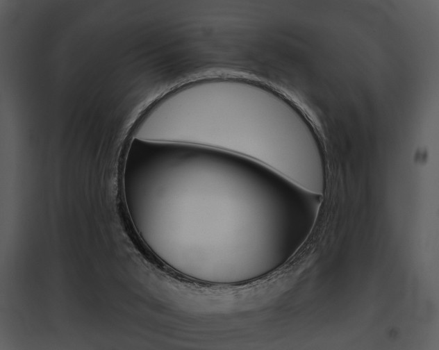 X0000095670015200801081050