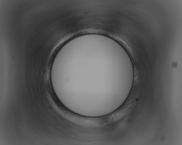 X0000095670016200801081050