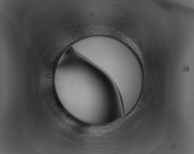 X0000095670017200801081050