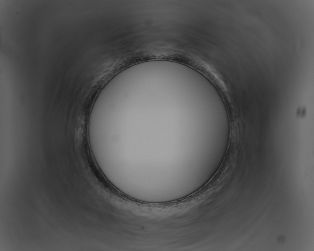 X0000095670018200801081050