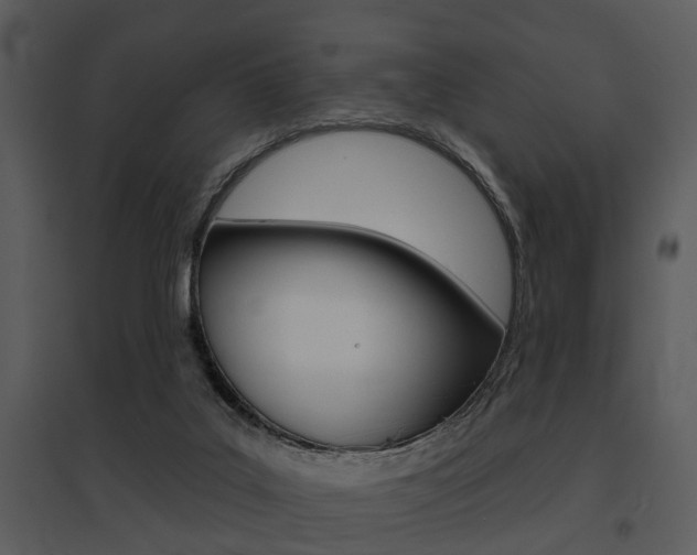 X0000095670019200801081050