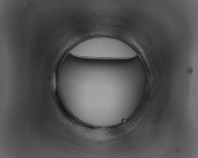 X0000095670020200801081050