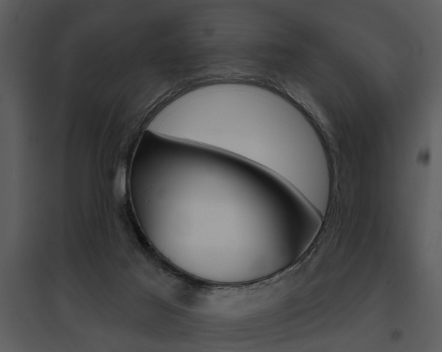X0000095670021200801081050