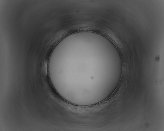 X0000095670022200801081050