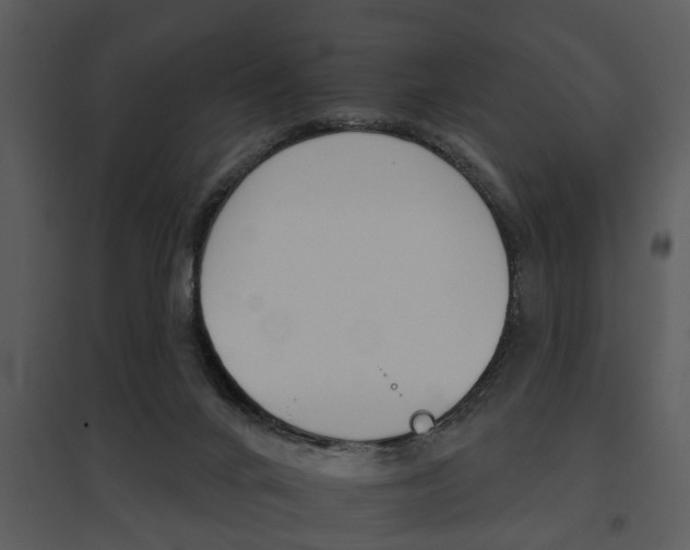 X0000095670024200801081050