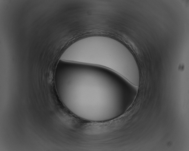 X0000095670025200801081050