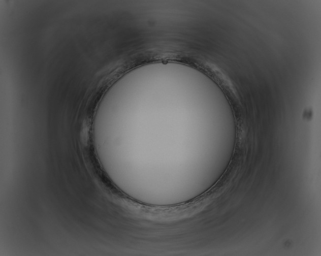 X0000095670026200801081050