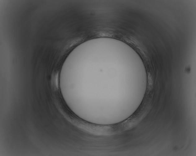 X0000095670028200801081050