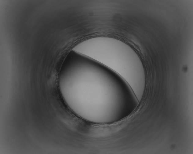 X0000095670029200801081050