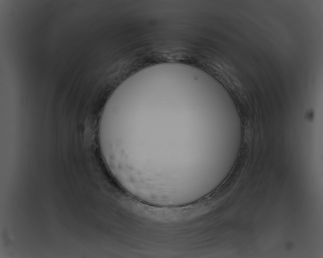 X0000095670030200801081050