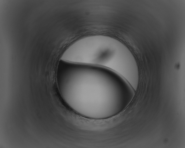 X0000095670031200801081050