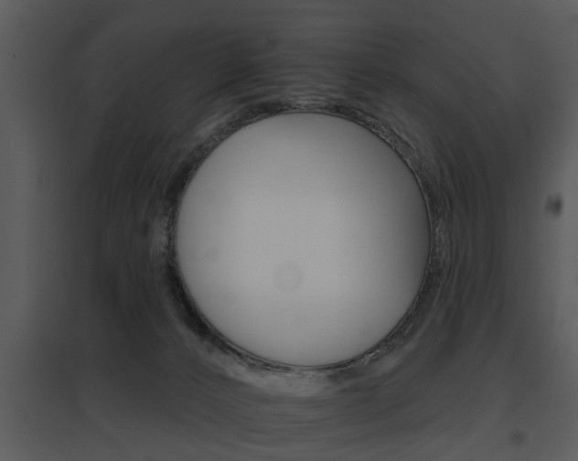 X0000095670032200801081050