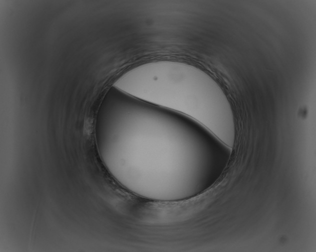 X0000095670033200801081050