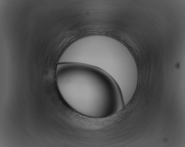 X0000095670035200801081050
