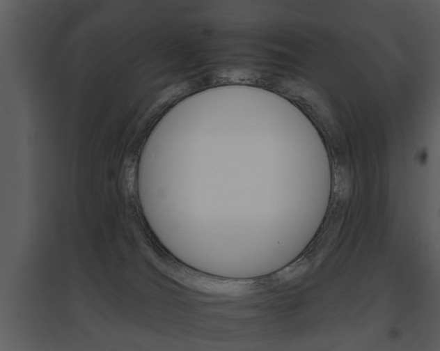 X0000095670036200801081050