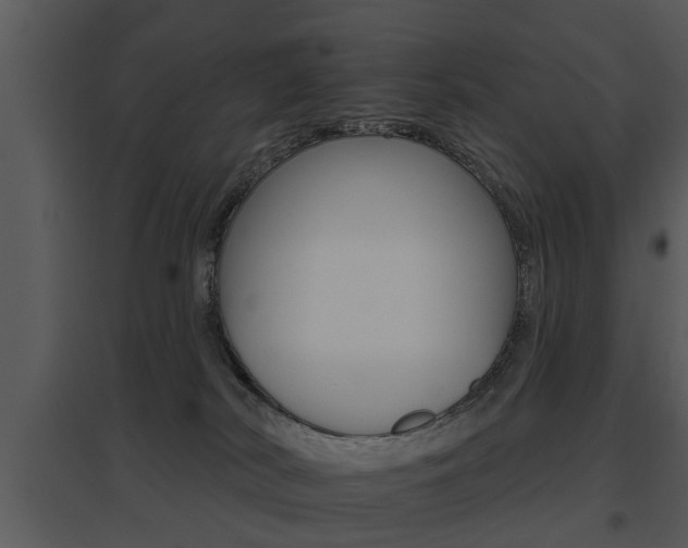 X0000095670038200801081050