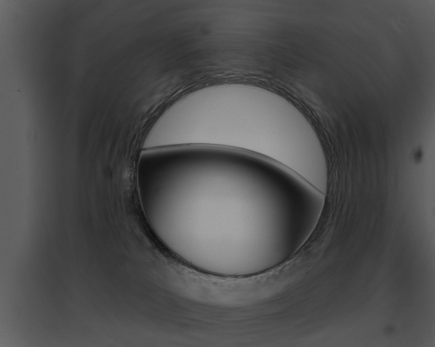 X0000095670039200801081050