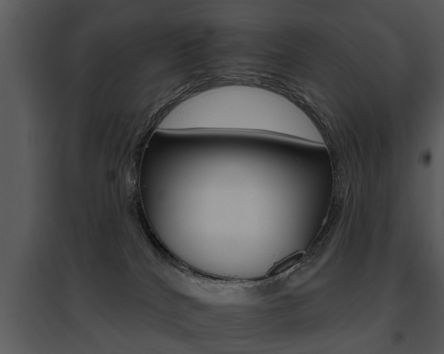 X0000095670040200801081050