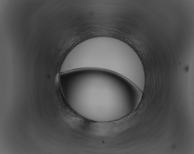X0000095670041200801081050