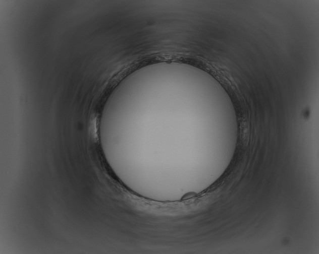 X0000095670042200801081050
