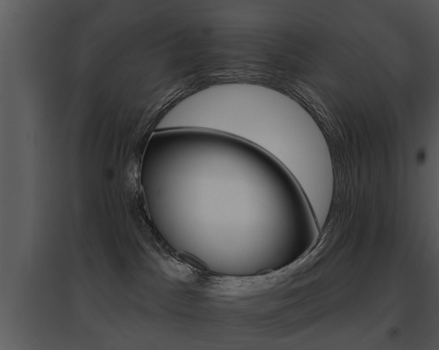 X0000095670045200801081050