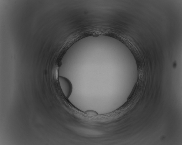 X0000095670046200801081050