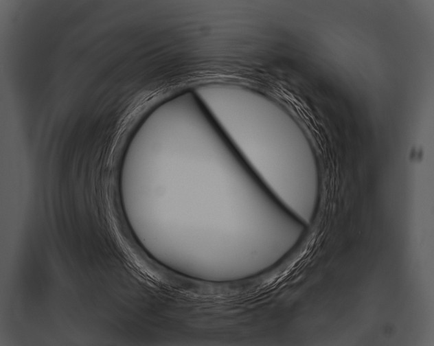 X0000095670049200801081049