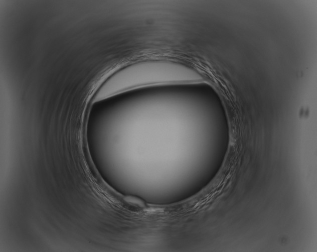 X0000095670052200801081049