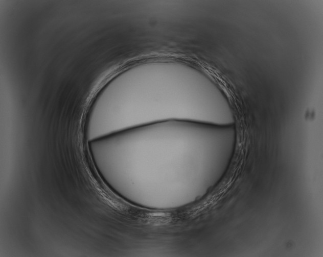 X0000095670053200801081049