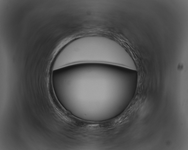 X0000095670054200801081049