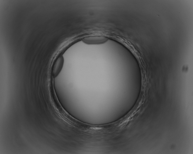 X0000095670055200801081049