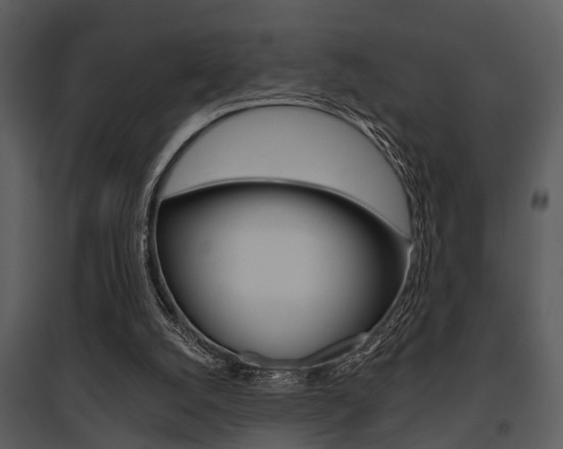 X0000095670056200801081049