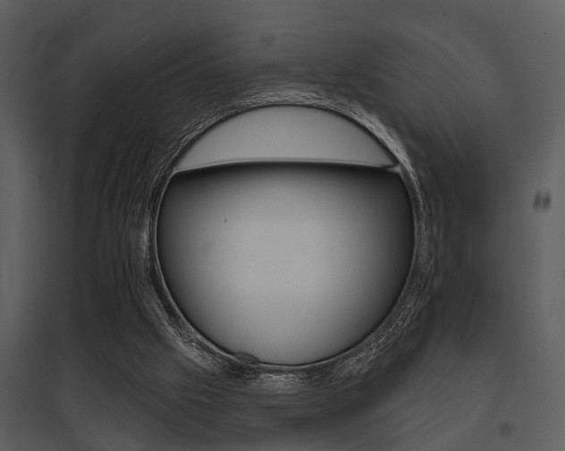 X0000095670057200801081049