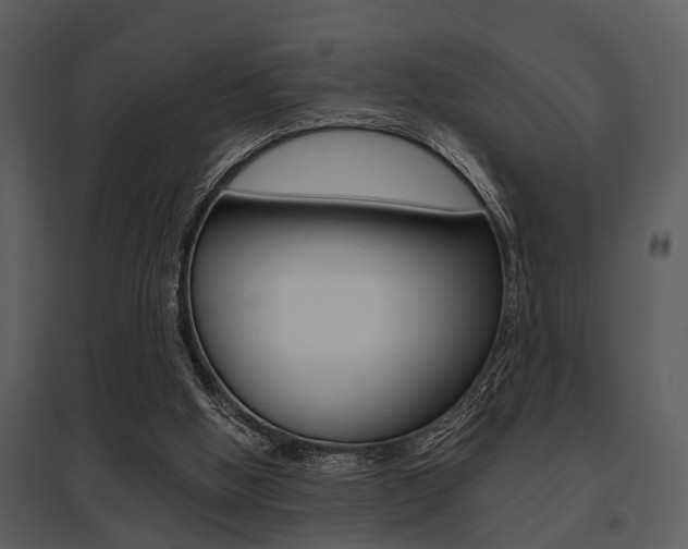 X0000095670058200801081049