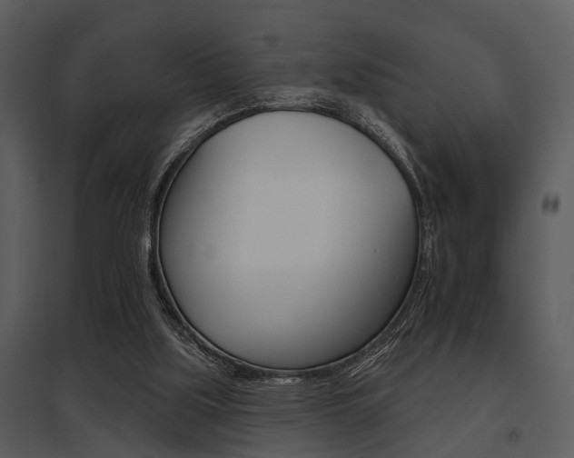 X0000095670059200801081049