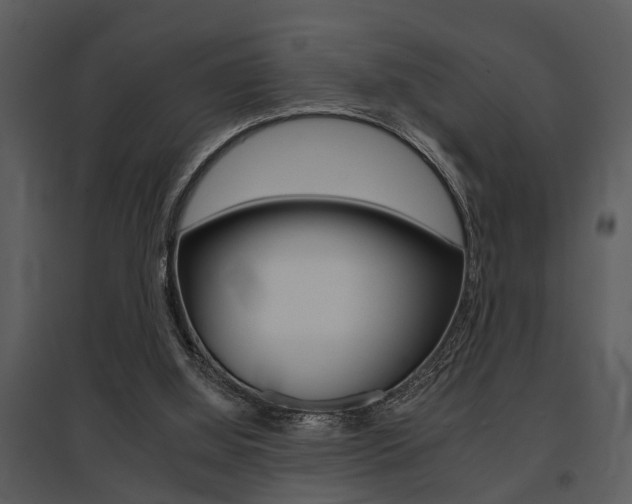 X0000095670060200801081049