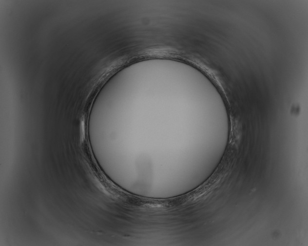 X0000095670061200801081049