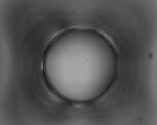 X0000095670062200801081049