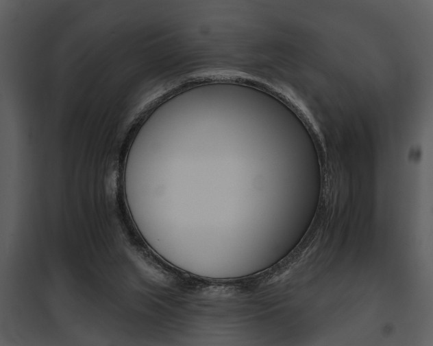 X0000095670063200801081049
