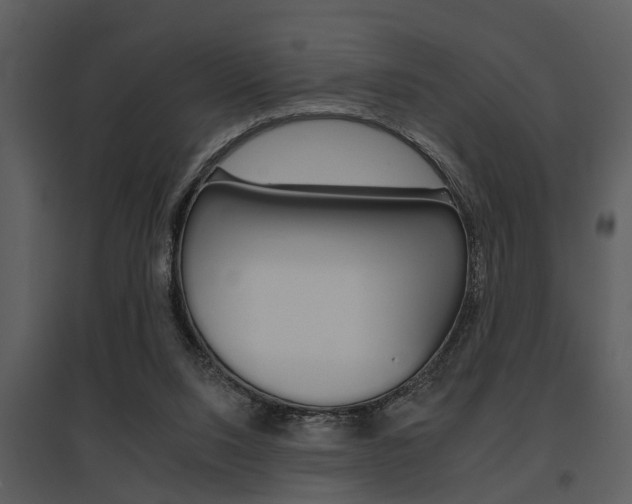 X0000095670064200801081049