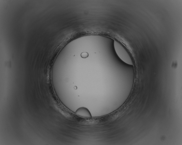 X0000095670065200801081049
