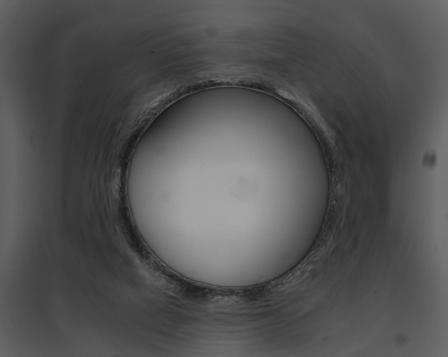 X0000095670066200801081049