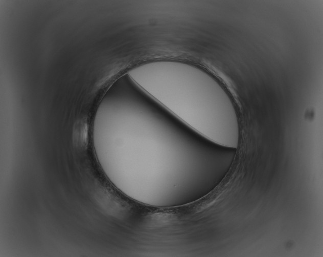 X0000095670067200801081049
