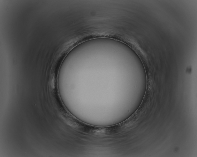 X0000095670068200801081049