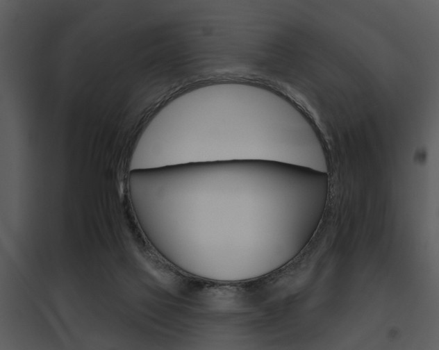 X0000095670069200801081049