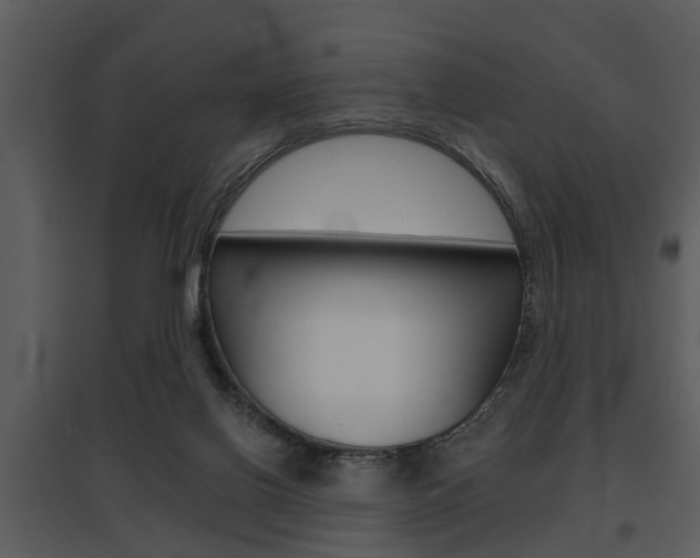 X0000095670070200801081049