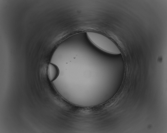 X0000095670071200801081049